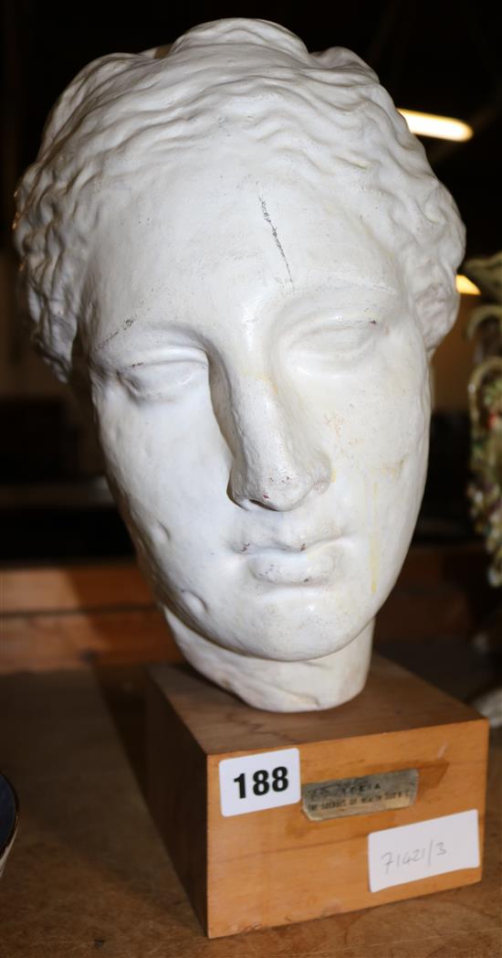 A moulded plaster head of Venus